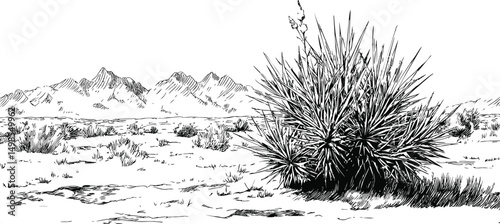 Desert landscape with yucca plant and distant mountains in black and white illustration. Vector illustration