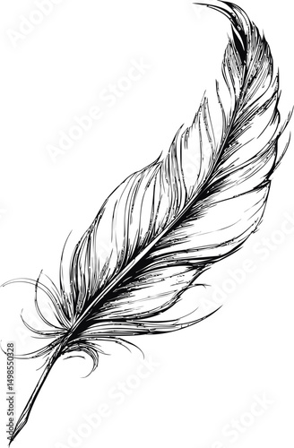 Intricate black and white feather illustration with fine details. Vector illustration