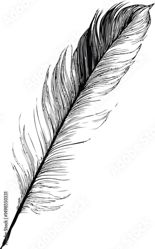 Intricate black and white feather illustration on a blank. Vector illustration