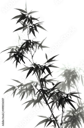 bamboo leaves isolated on white background