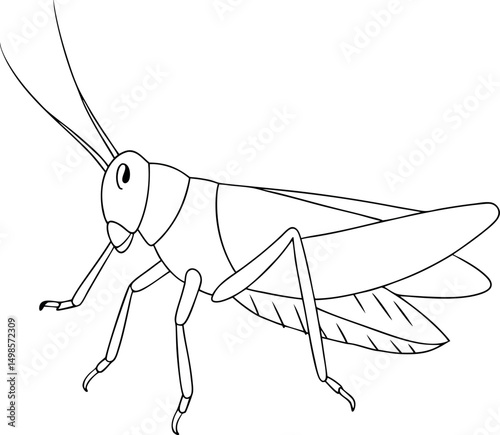 Outlined grasshopper stands isolated, its slender antennae, legs, and wings clearly defined on transparent background