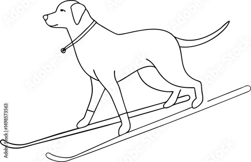 The dog is skiing through the snow as a monochrome outlined vector