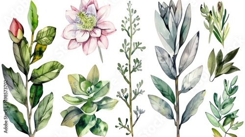 Watercolor botany picture of natural leaf and flora arranged as set. Group of vividness flower and herbal or tree leaves express beautiful element of nature perfect for study biology knowledge. AIG53.