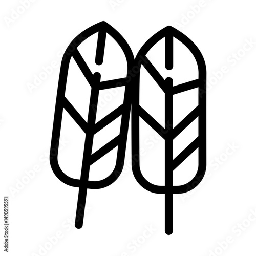 feather line icon