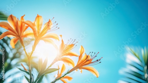 Vibrant Orange Flowers Under Bright Blue Sky with Sunlight Glow