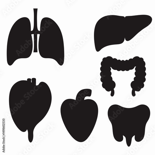 Silhouette Vector Bundle of Human Internal Organs – Includes Heart, Lungs, Liver, Stomach, Intestines for Medical Learning and Educational Materials