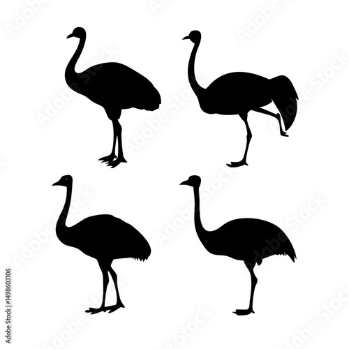 Ostrich Silhouettes Vector Illustration Pack