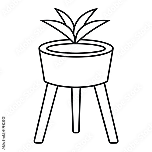 bamboo in a pot
