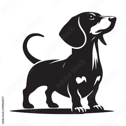 Dachshund Vector Silhouette Illustration Adorable Dog Breed