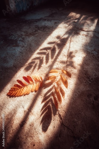 Autumn Leaves and Shadows on Weathered Concrete