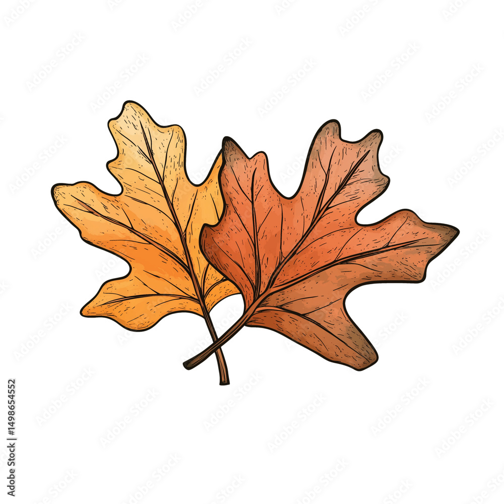 Fototapeta premium Autumn Leaf Collection Artwork - 5