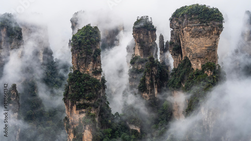 The incredible rock pillars are shrouded in fog. Peaks in the clouds. Green vegetation on the steep cliffs. China. Zhangjiajie National Forest Park. Avatar