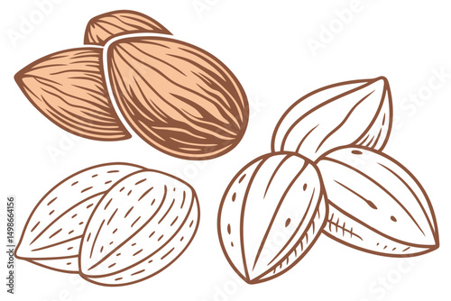 Stylized Almonds Group Isolated on White, Hand-Drawn, Color and Outline Versions, Nutritious Food Ingredient and Decoration Element.