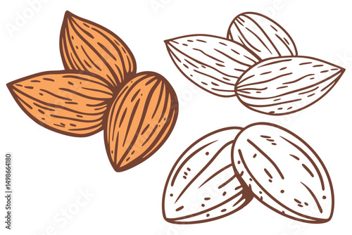 Almond Nuts Vector Illustration: Organic Food, Healthy Snack and Ingredient Graphics for Culinary and Nutrition Designs with Outlines.