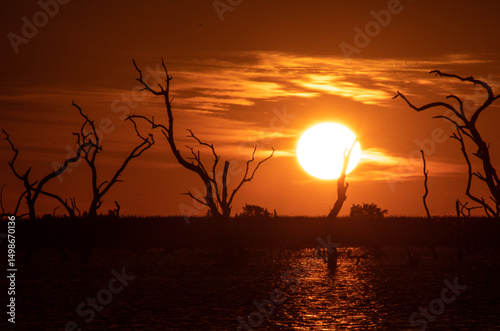 Dramatic Sunset Over Wetland with Dead Trees in Vertedero, Formosa, Argentina

