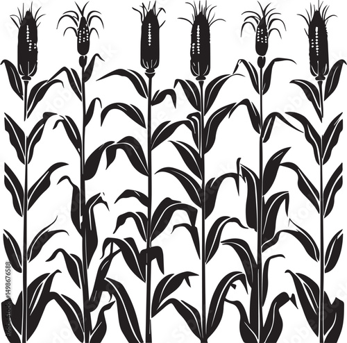 Silhouette of corn plant growing with leaves of vegetable harvest vector on white background