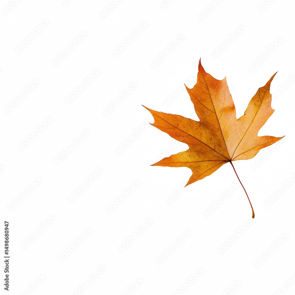 Fototapeta premium A vibrant autumn leaf showcasing warm colors of red, orange, and yellow hues.