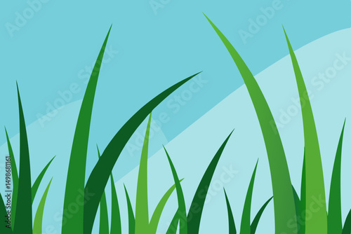 Bright green grass and a blue sky create a fresh nature background for spring and summer