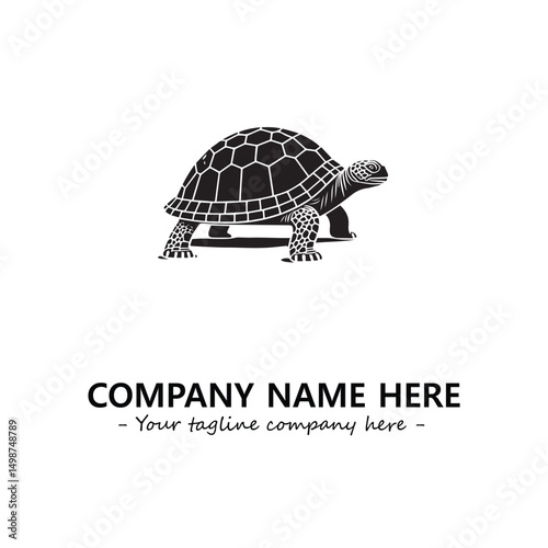 Turtle logo design vector illustration