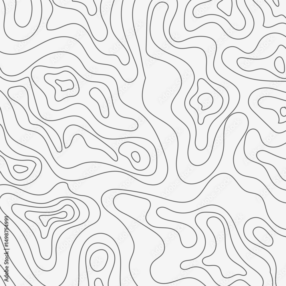 Obraz premium Abstract Topographic Lines Gray Scale Wave Pattern Design