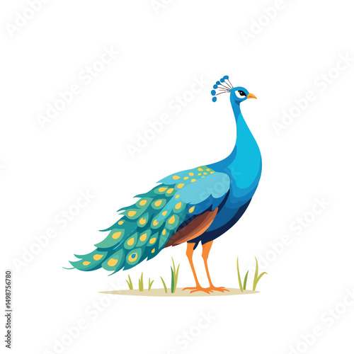 Vsai beautiful peacock showing its colorful feathers is standing in the grass