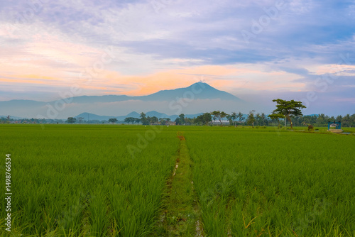 Fotografie A view of mountain and ricefield with beautiful twilight sky