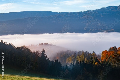 Nebel