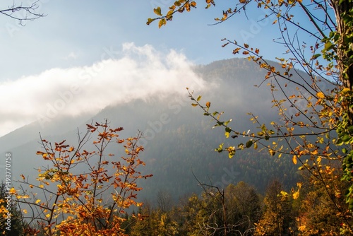 Herbst