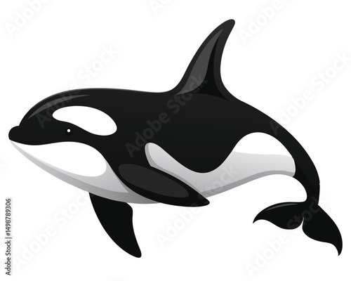 an orca with its black and white body and smooth movements