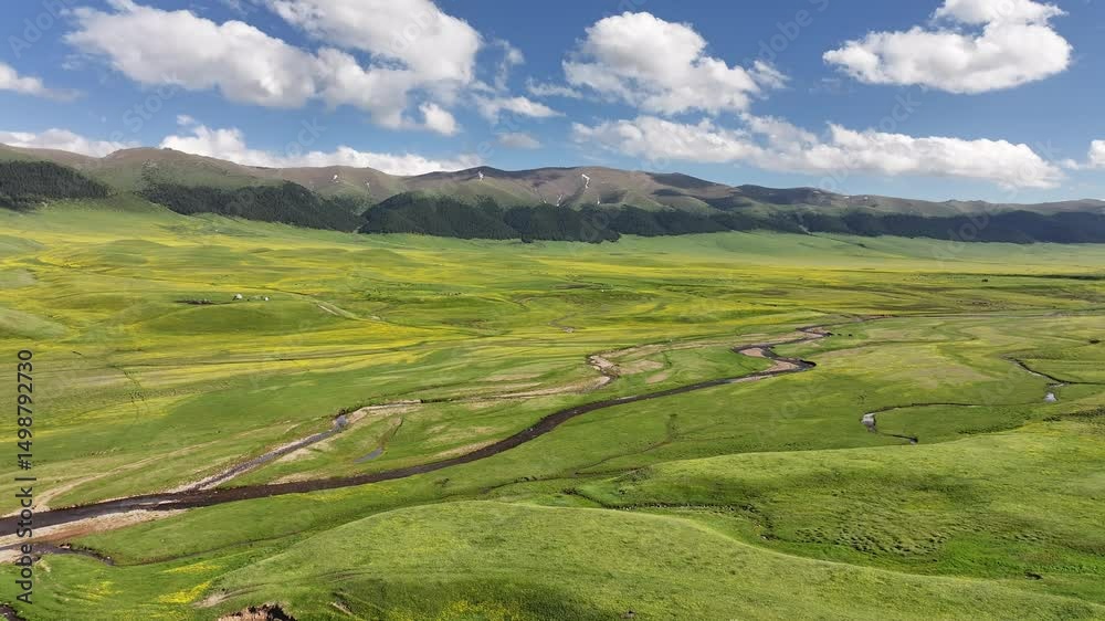 A view from a quadcopter of a river on the picturesque high-mountain plateau of Asy in the Almaty region of southeastern Kazakhstan on a spring day