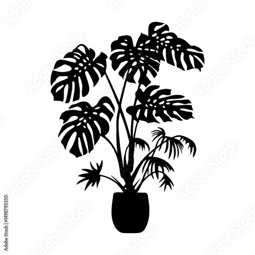 Silhouette of a potted monstera plant with broad leaves in black graphic style on a white background, concept of indoor plant decoration