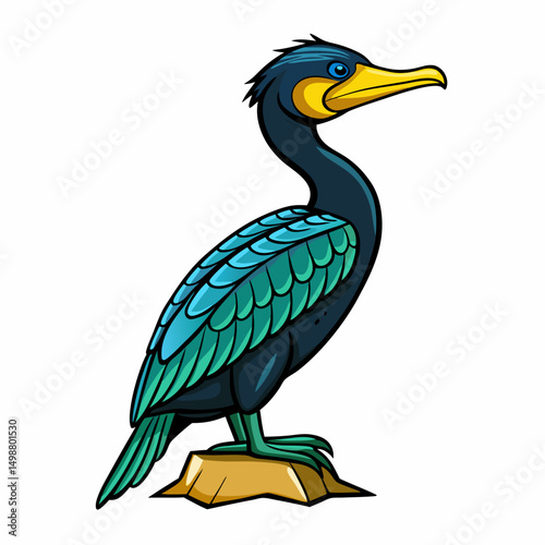Cormorant Bird Perched On White