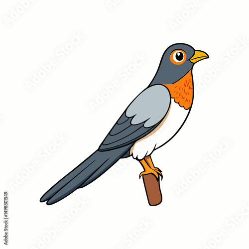 Cuckoo Bird Perched On White