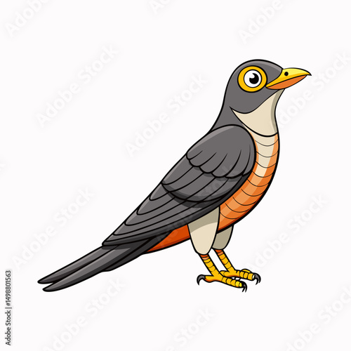 Cuckoo Bird Perched On White