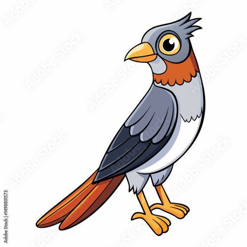 Cuckoo Bird Perched Vector Style On White