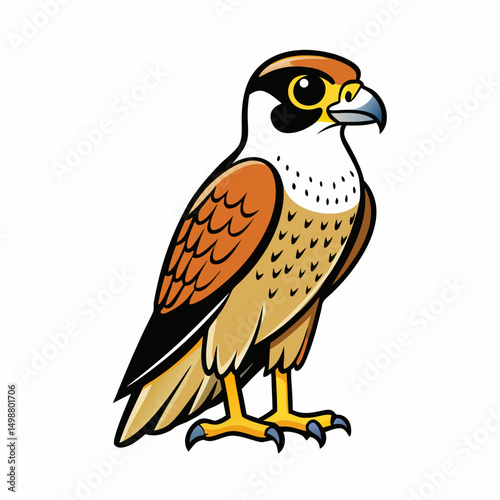 Falcon Bird Perched On White