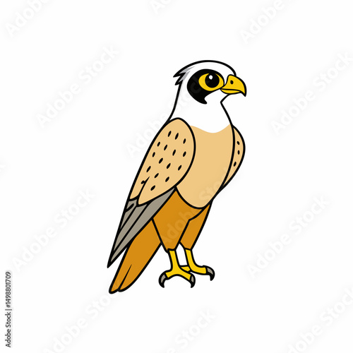 Falcon Bird Perched On White