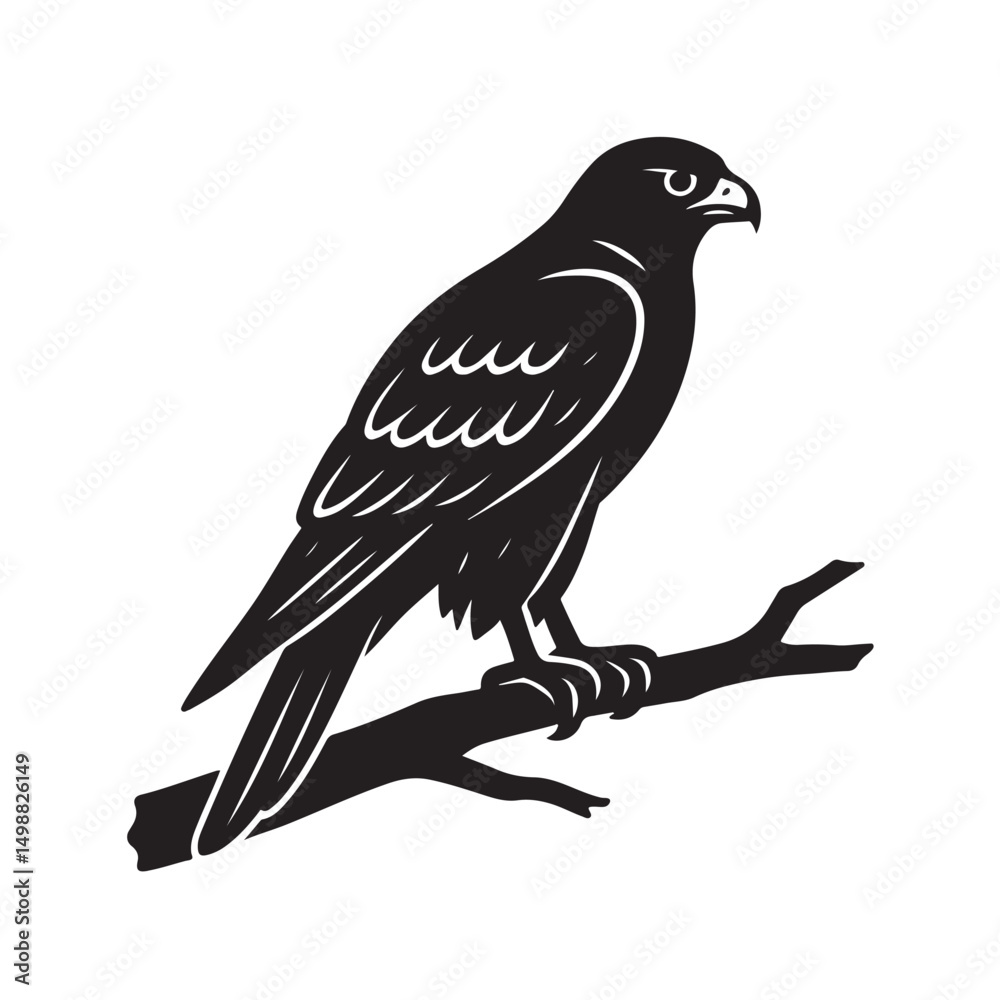 Fototapeta premium Hawk Perched Tree Branch Silhouette