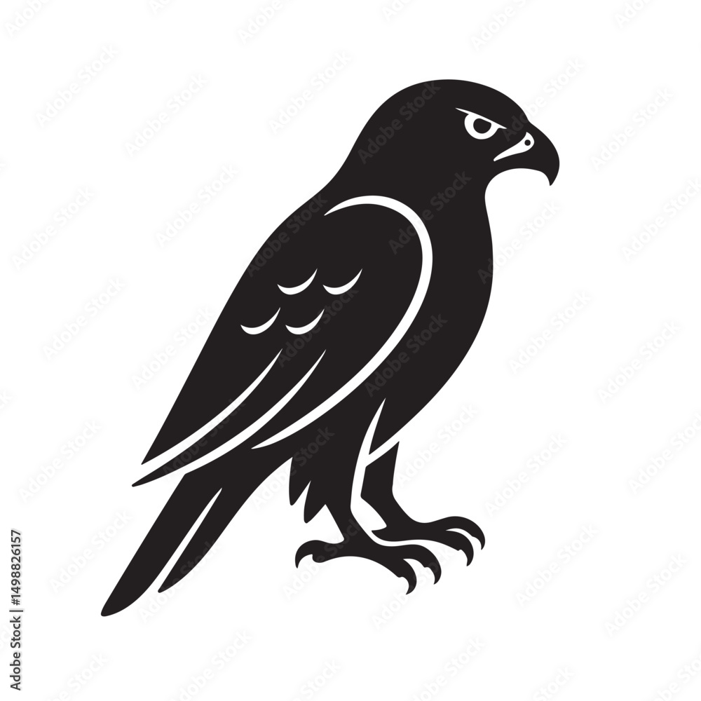 Fototapeta premium Hawk Silhouette Sharp Beak Feathers