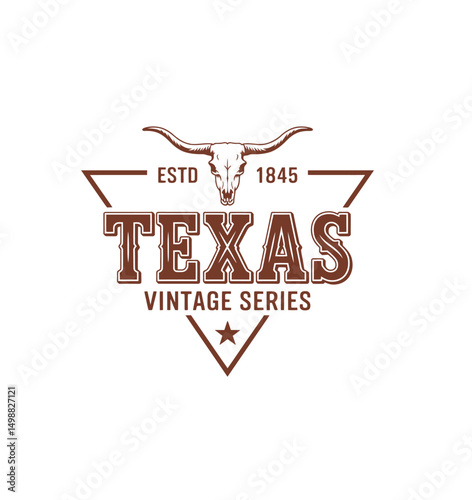 Texas state textured vintage vector t-shirt and apparel design,
