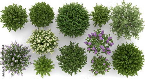 Diverse plants in pots top view