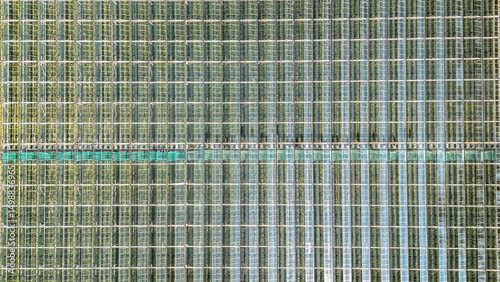 Greenhouse aerial drone view background from above, large industrial greenhouses for growing vegetables, modern plantation glasshouse area, agriculture in the Netherlands