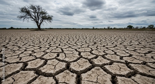 Barren earth cracked lonely tree and overcast sky