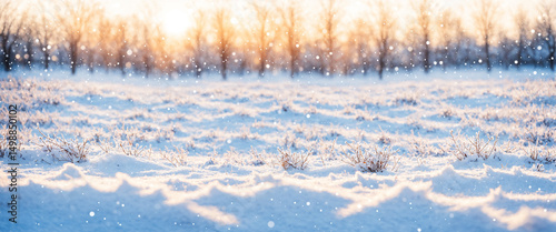 snow-covered field with bar...
