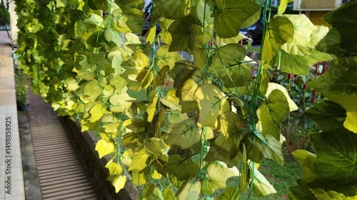 Bright and vibrant green artificial ivy leaves line the fence, illuminated by the warm sunlight, and blown by the gentle breeze.