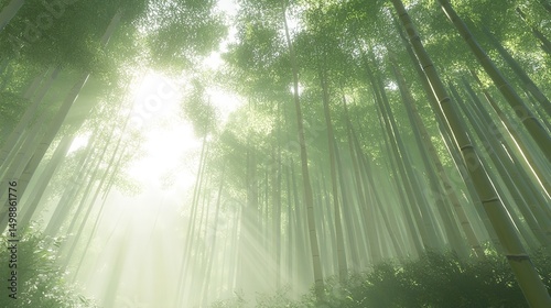 A bamboo grove with dense clusters of bamboo shoots growing in all directions, showcasing the versatility and strength of this remarkable plant.