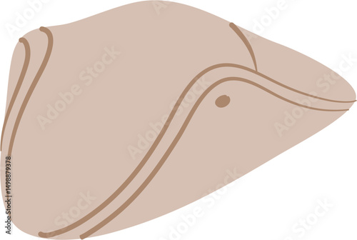 Hat illustration