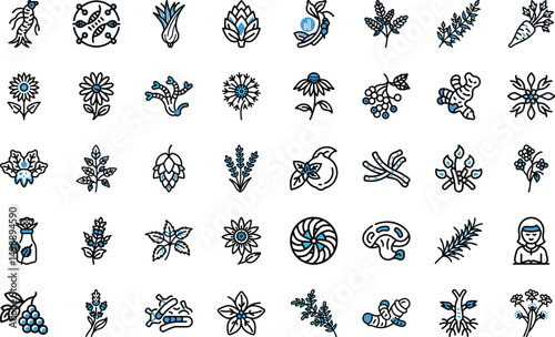 Herbal medicine vector illustration various plants and herbs outlined in minimal style