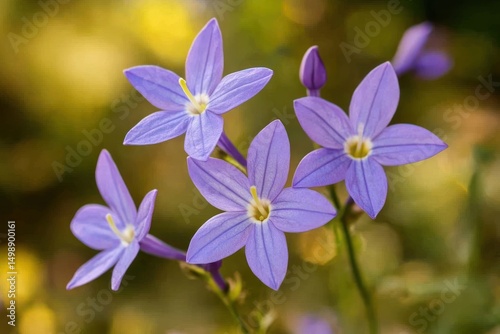 delicate lilac flowers blooming, purple petals in sharp focus, blurred background