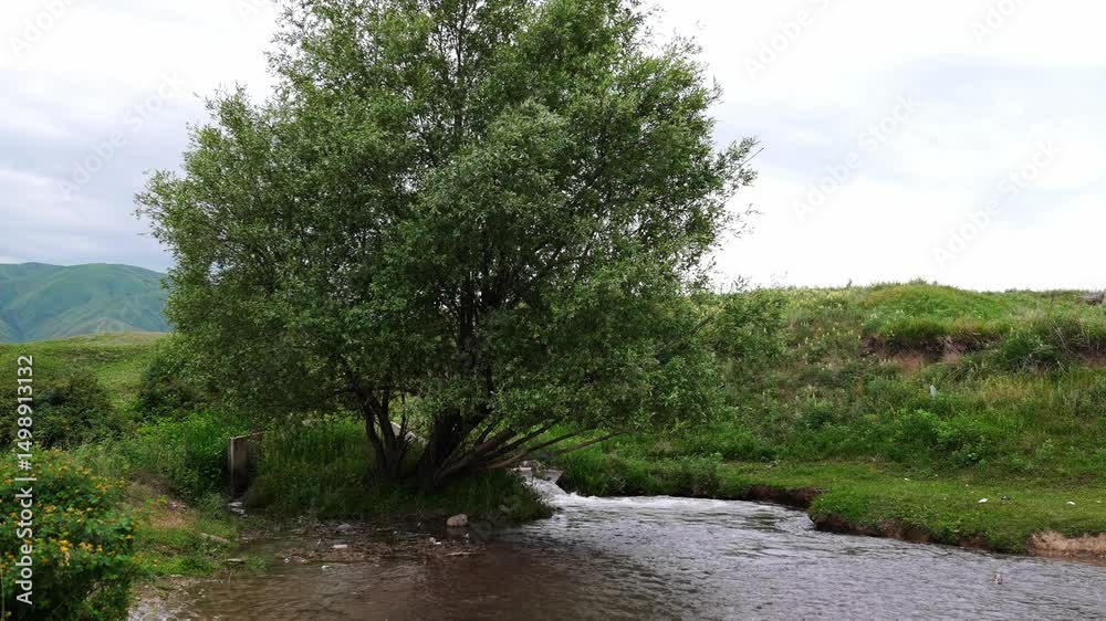 A hilly area with different vegetation and a river. Cloudy weather, spring. The view from the drone. A hilly area with different vegetation and a river. Cloudy weather, spring. The view from the drone.